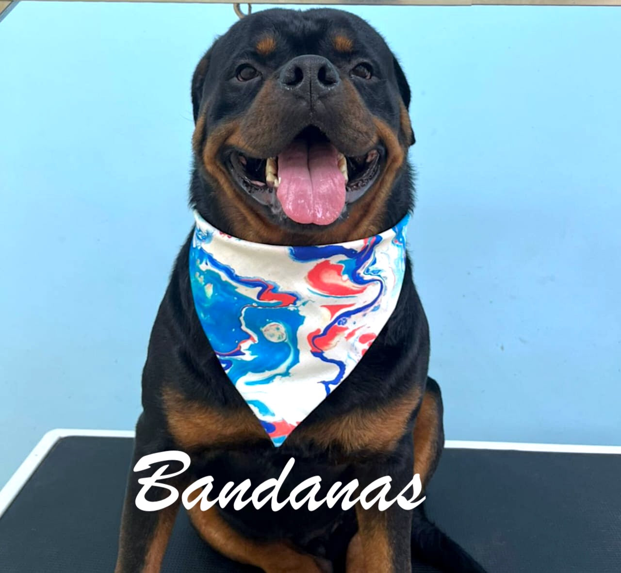 Bandanas