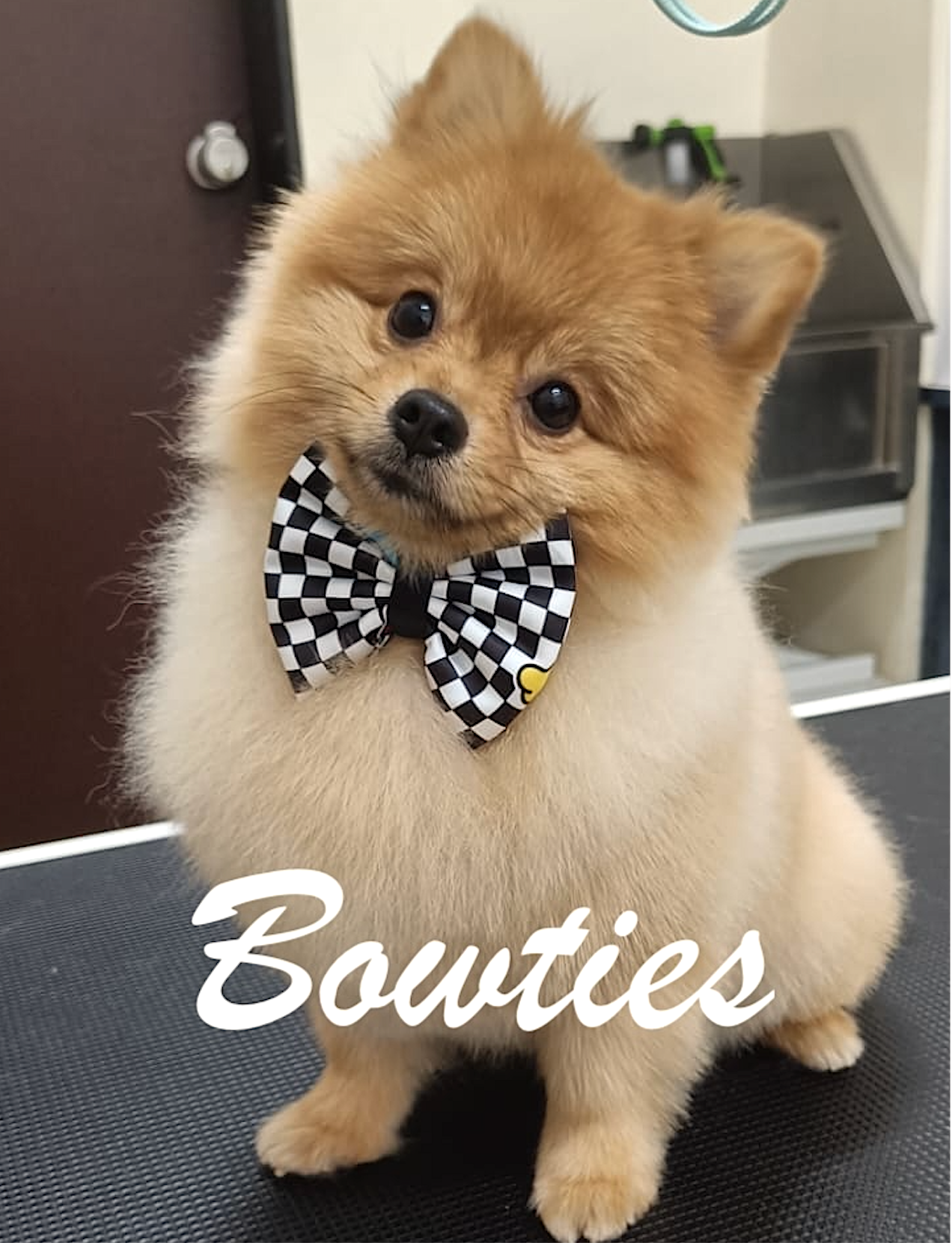 Bowties