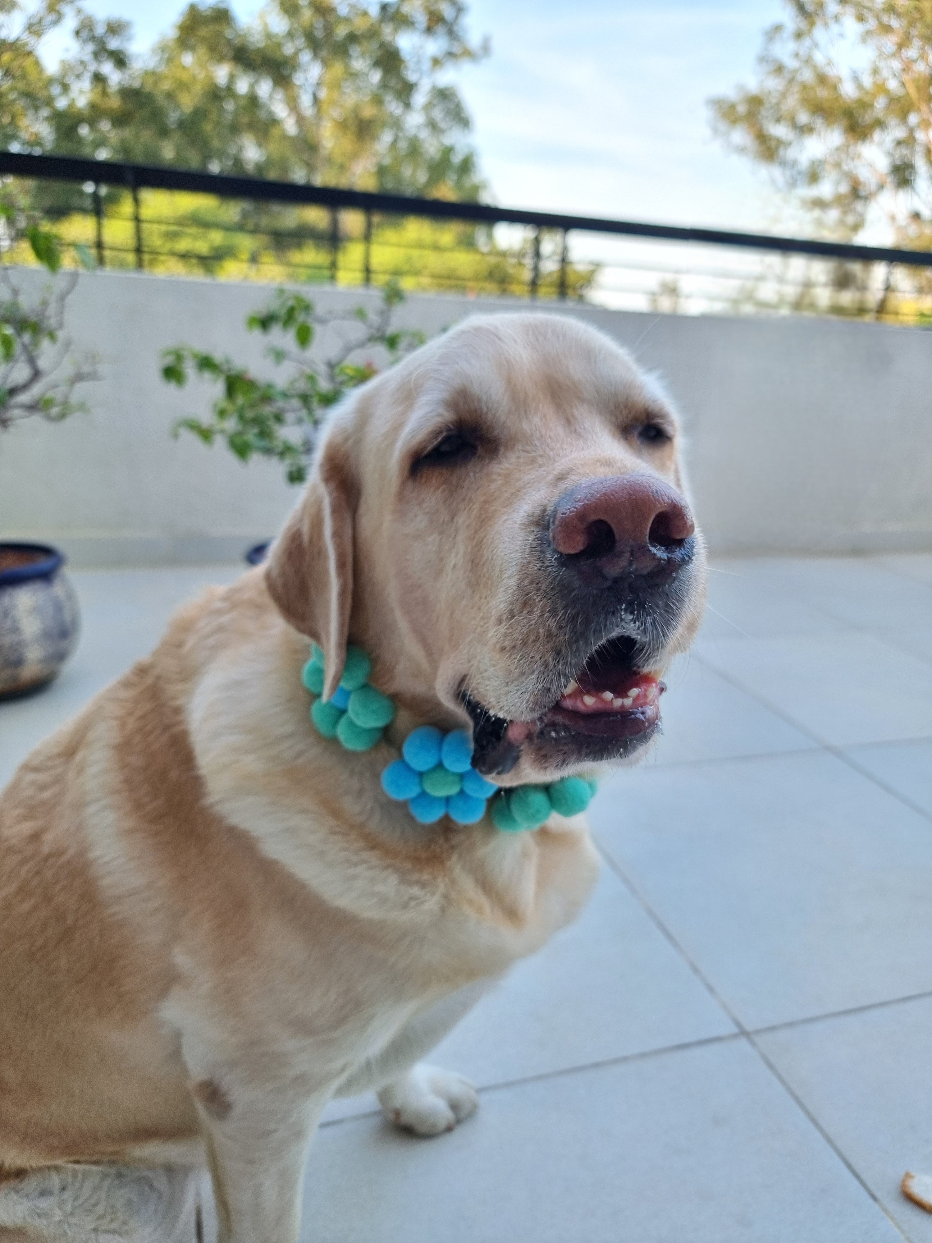 3 Floweret Pom Pom Collar - Bundle of 5