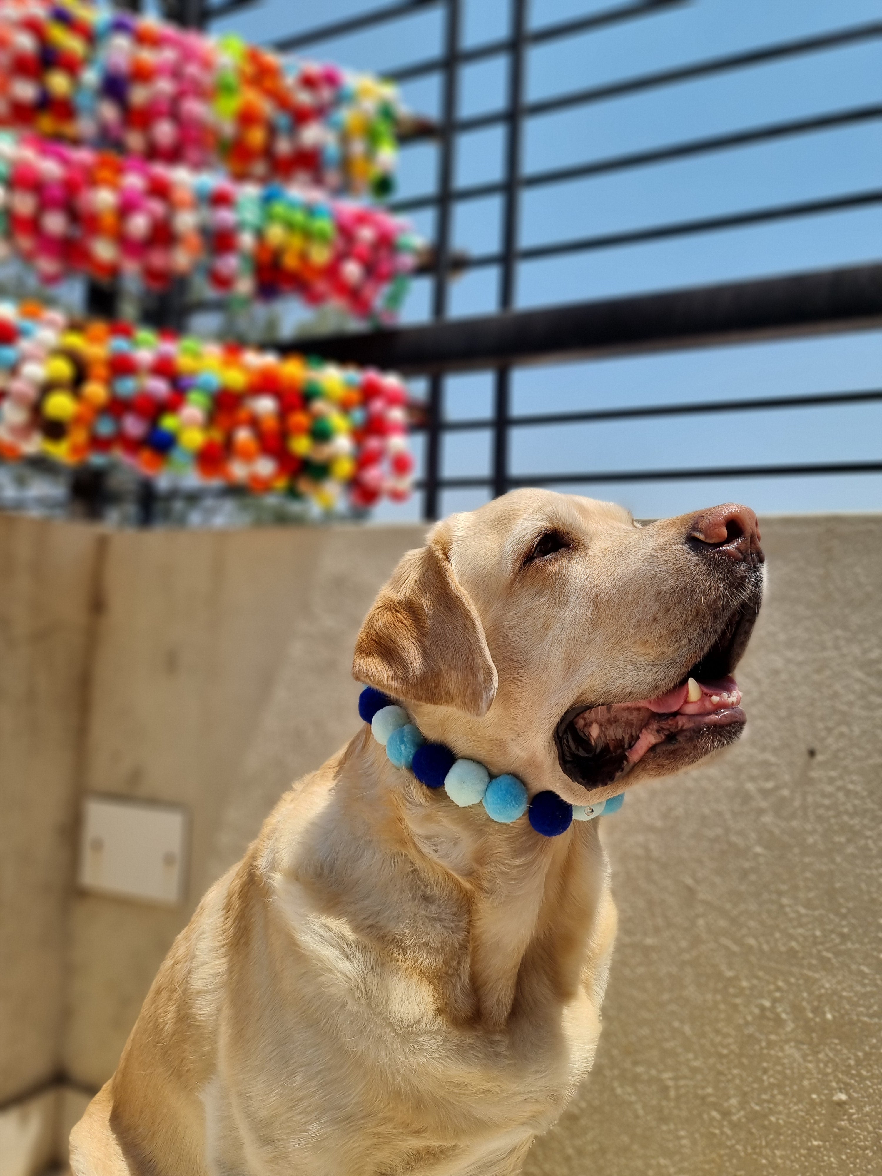 Pom Pom Beaded Collar Multicolor 1 - Bundle of 5