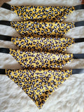Lepoard Print - Bundle of 5
