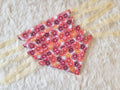 Citrus Blast Soft Cotton Tie-On Bandana for Dogs- Bundle of 5