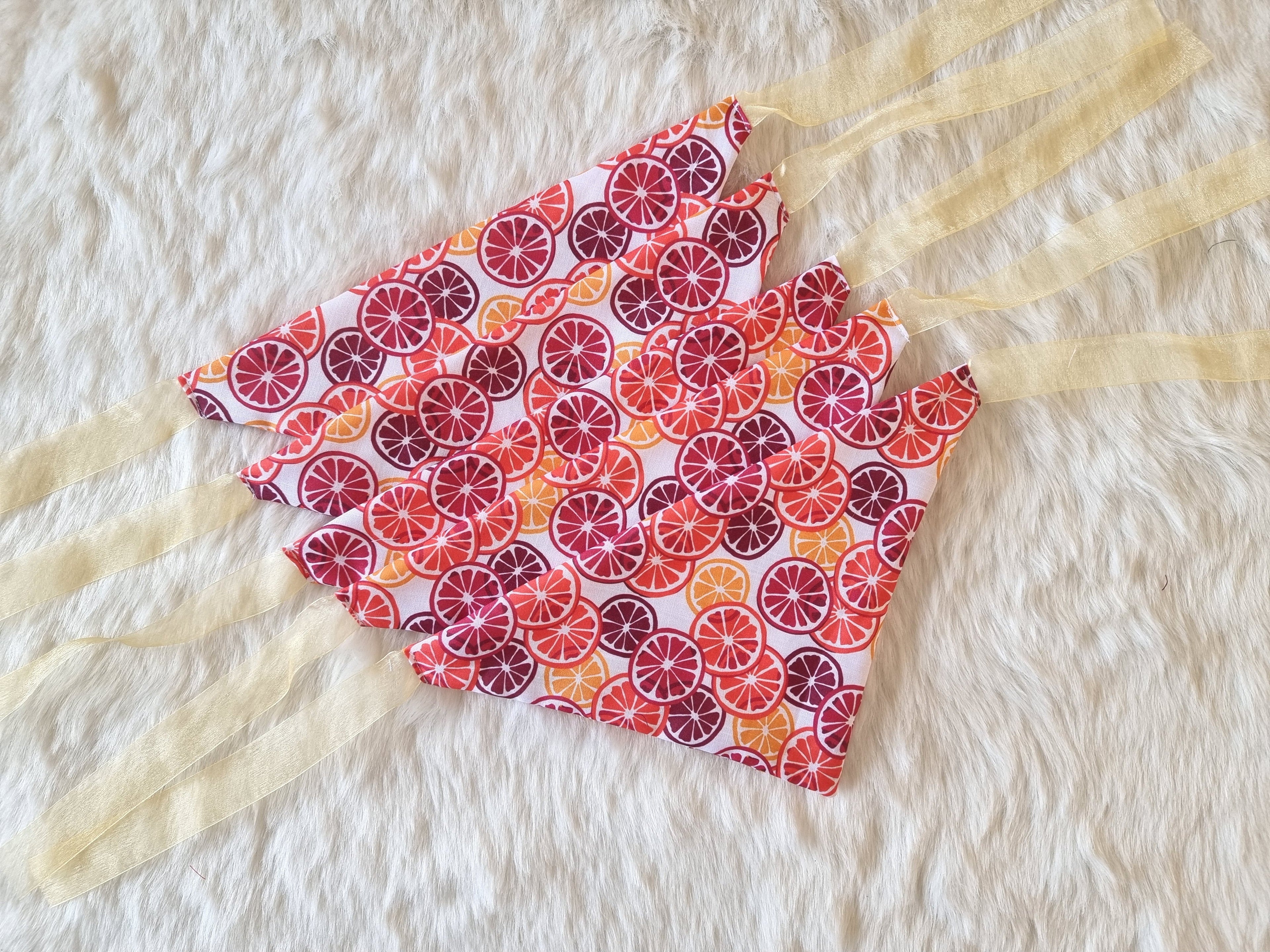 Citrus Blast Soft Cotton Tie-On Bandana for Dogs- Bundle of 5