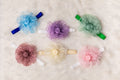 Rose Bloom Organza Flower Collar - Bundle of 5