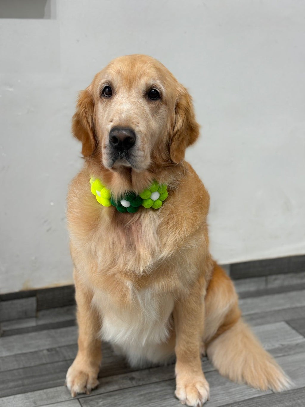 3 Floweret Pom Pom Collar - Bundle of 5